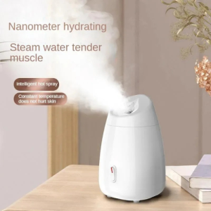 Facial Beauty Spray Steamer- White