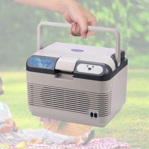 Portable Electric Cooler and Warmer Box - 12L (Hot & Cold Modes)