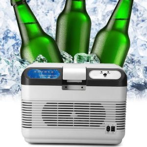 Portable Electric Cooler and Warmer Box - 12L (Hot & Cold Modes)